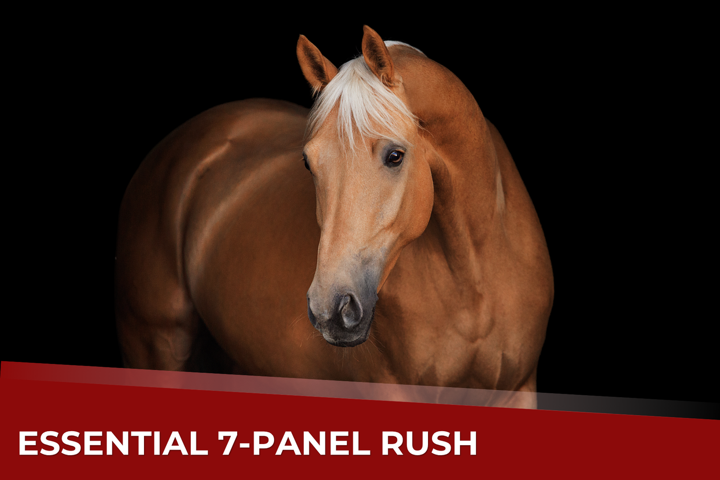 Essentials 7-Panel RUSH