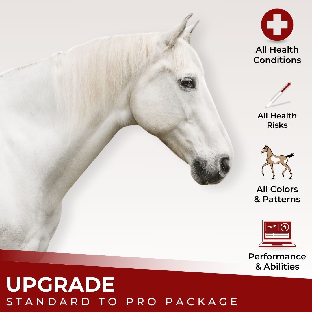 Upgrade Standard Package to ProPackage 2.0
