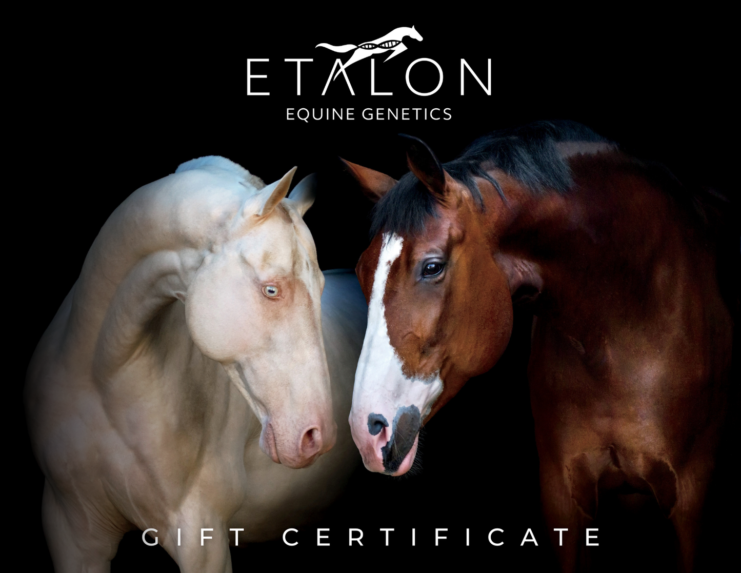Etalon Gift Card - $179