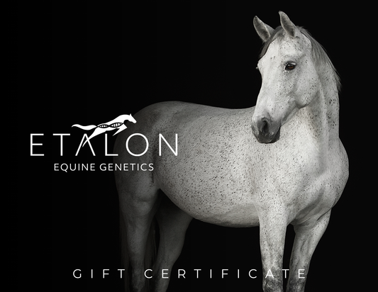 Etalon Gift Card - $329