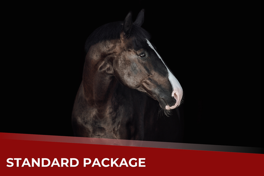 Standard Package