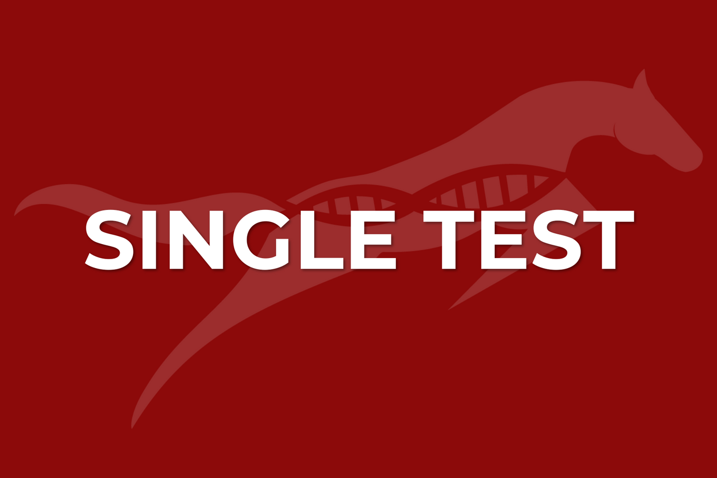 Single Test (MUST CONTACT US FIRST TO ORDER)